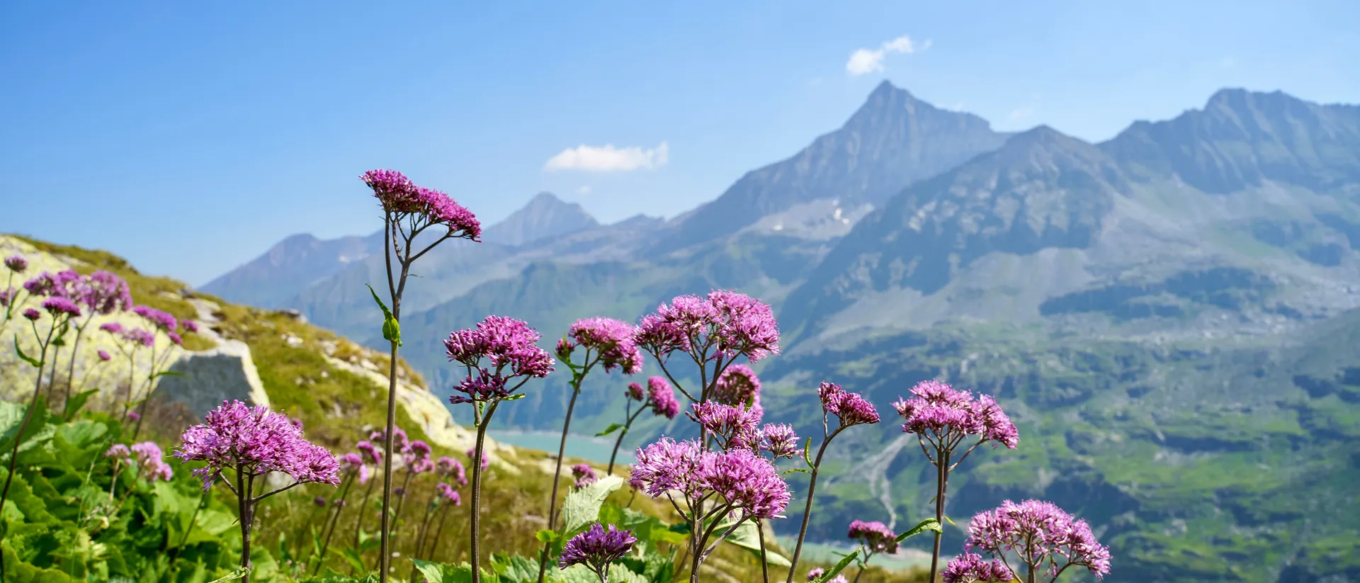 Nationalpark Hohe Tauern im Sommer