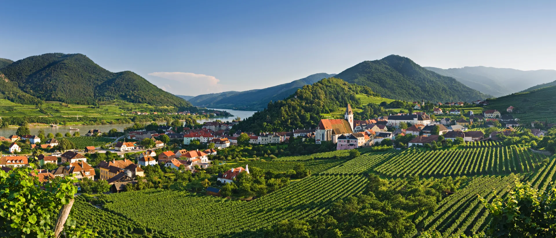 Ausblick auf Wachau in Niederösterreich im Sommer