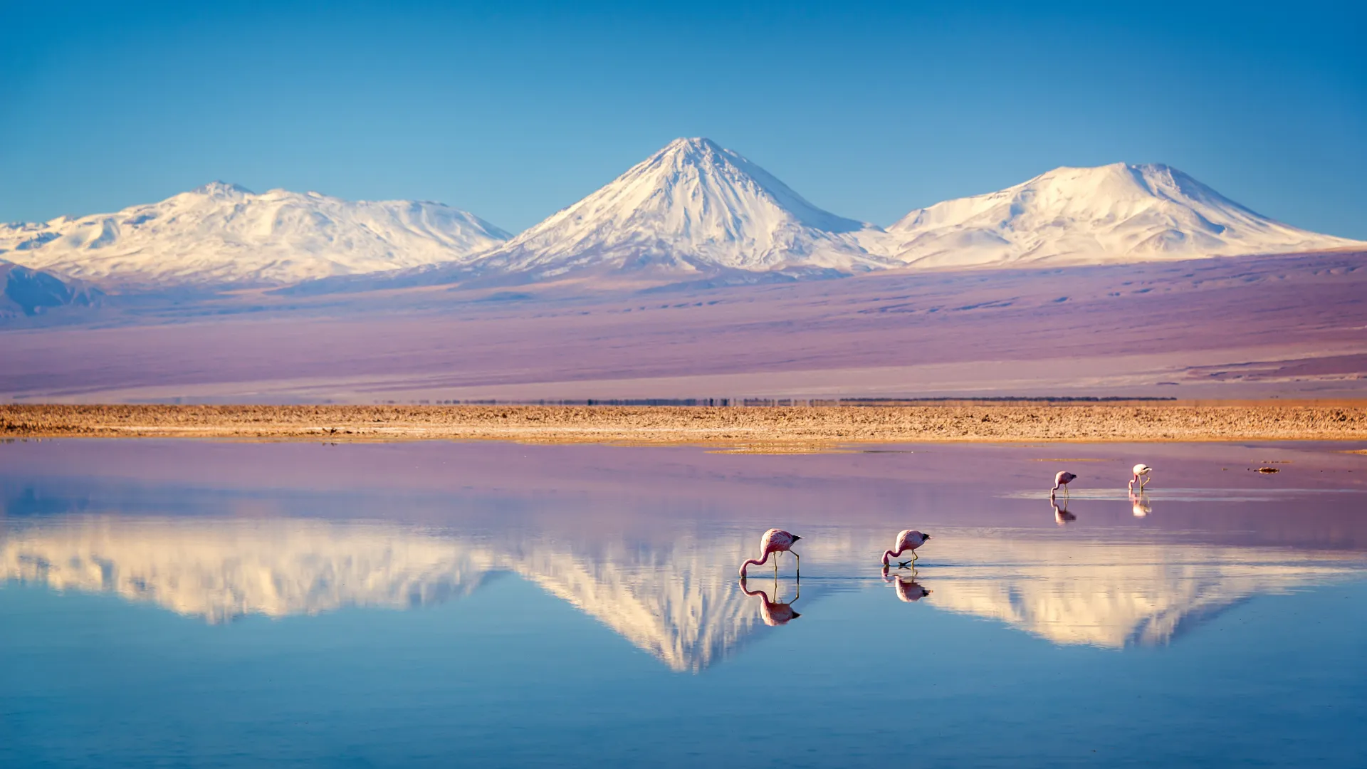 Laguna Chaxa, Atacama, Chile