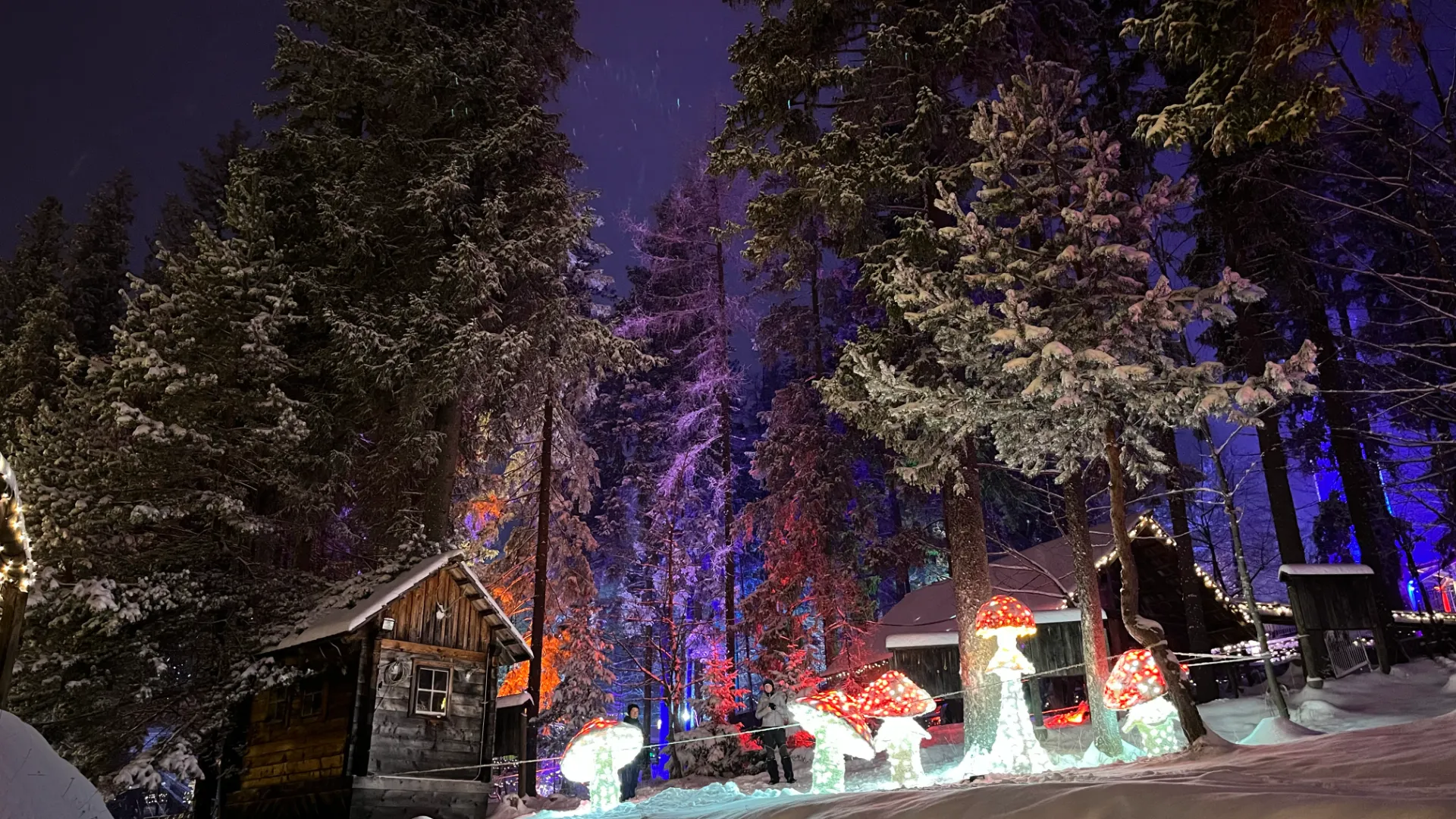 Lichterzauber Bürgeralpe, Mariazeller Advent