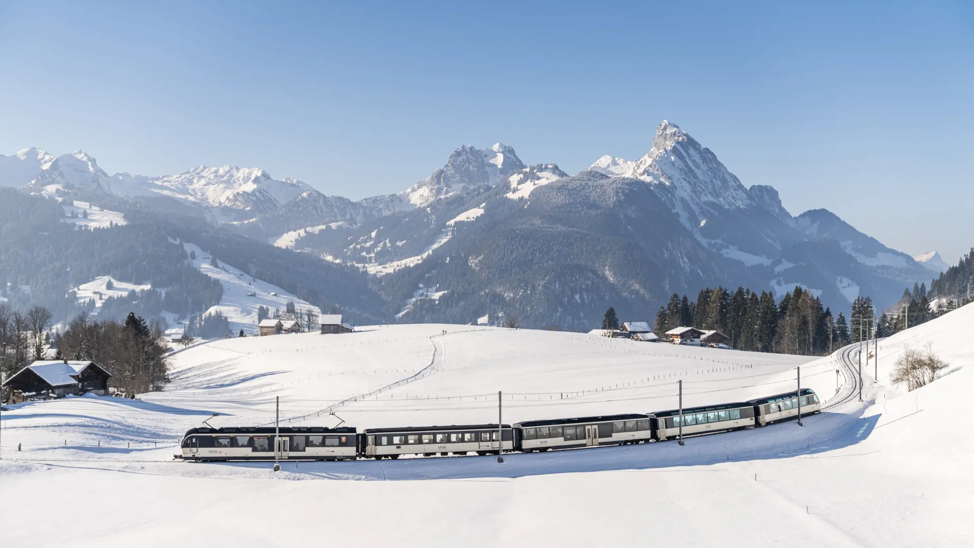 Golden Pass Express