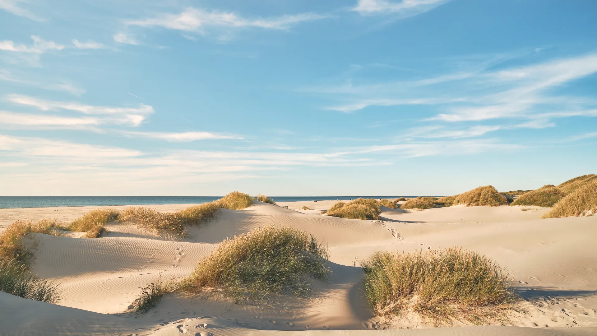 Dänischer Strand im Sommer