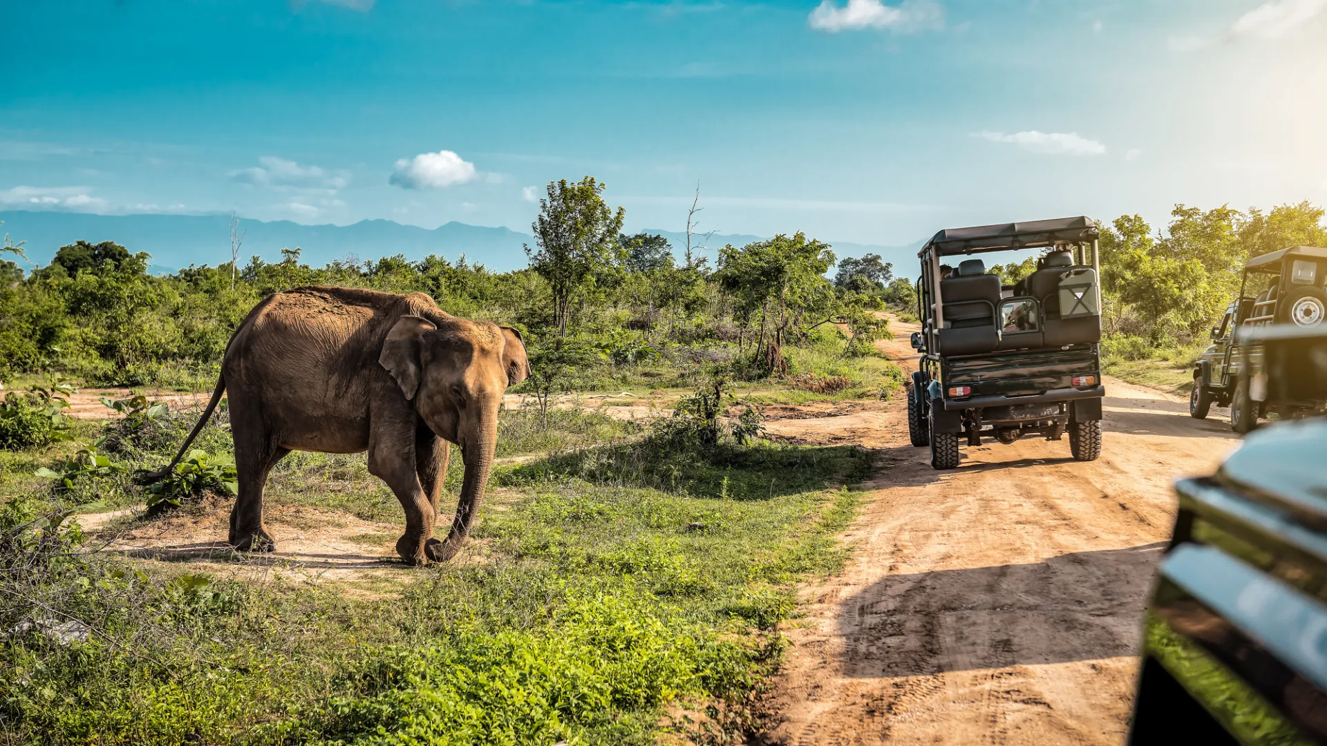 Udawalawe Nationalpark