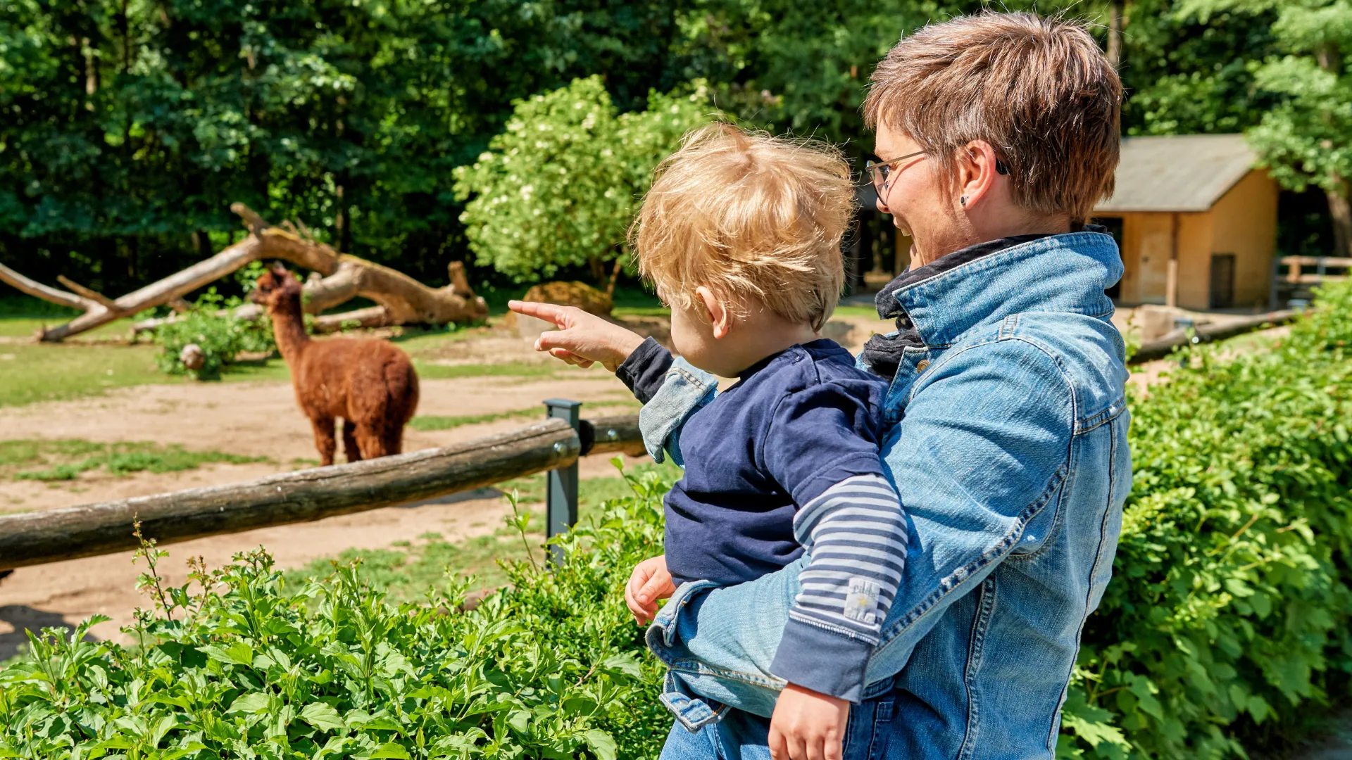 Tiergarten Nürnberg