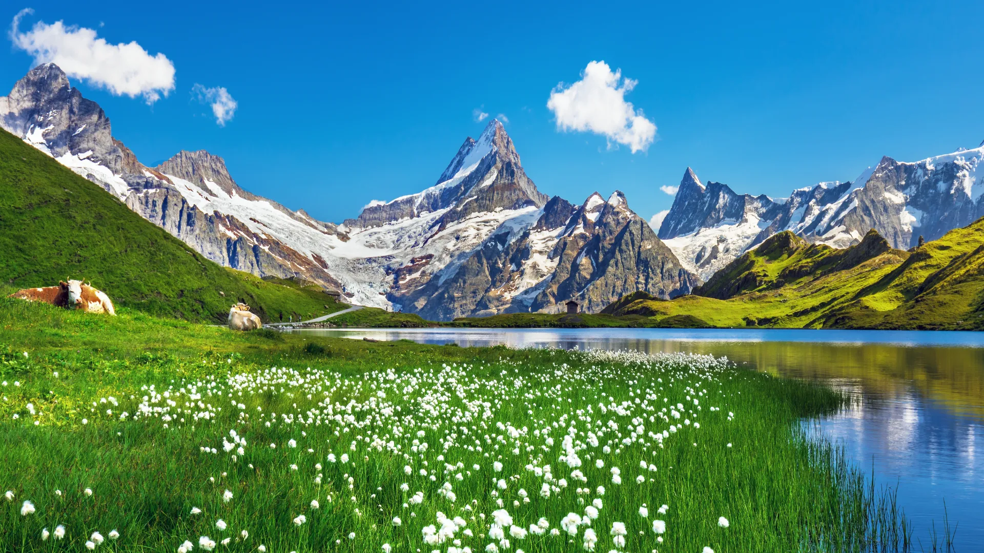 Bachalpsee, Schweiz