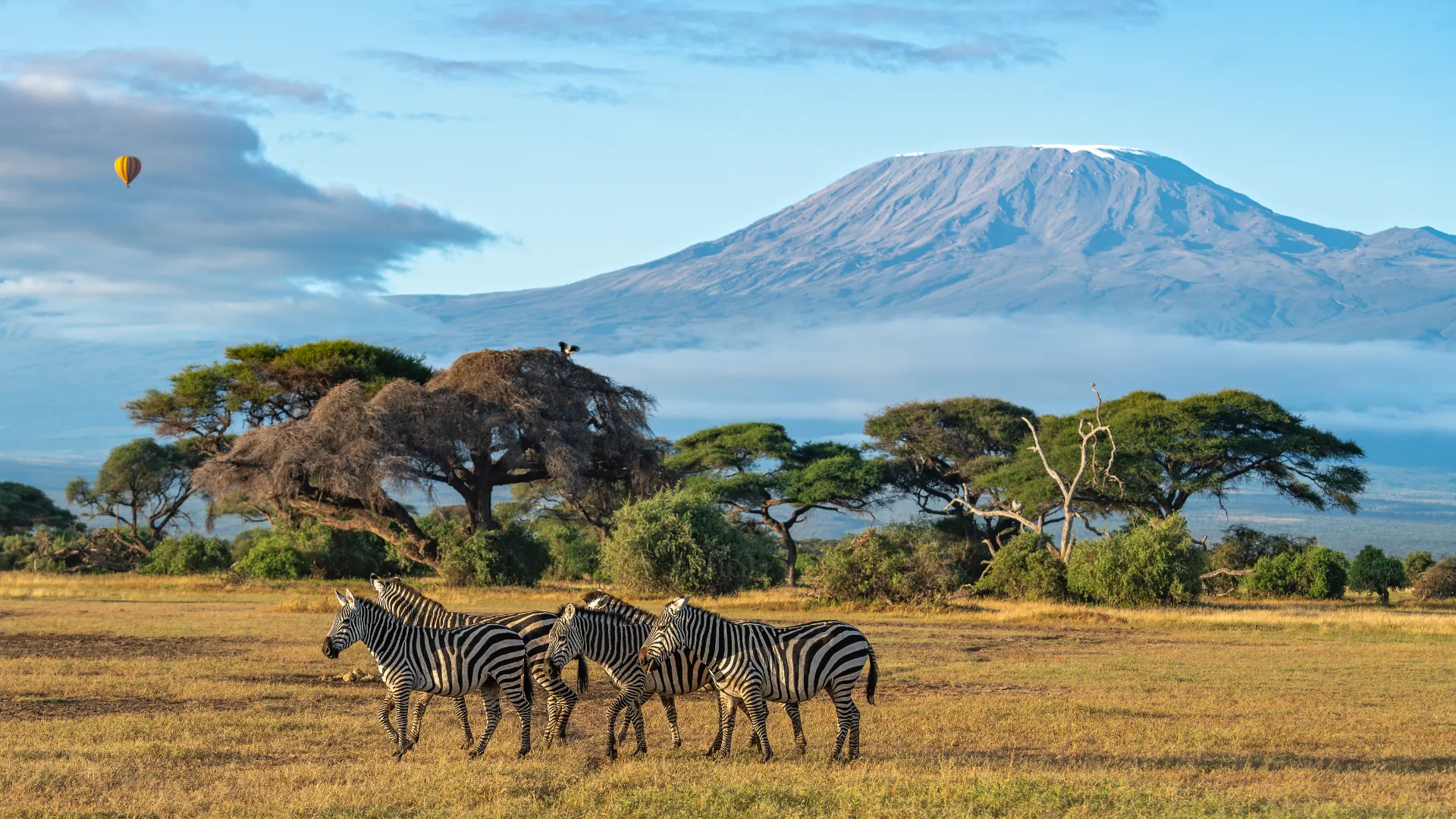 Amboseli-Nationalpark
