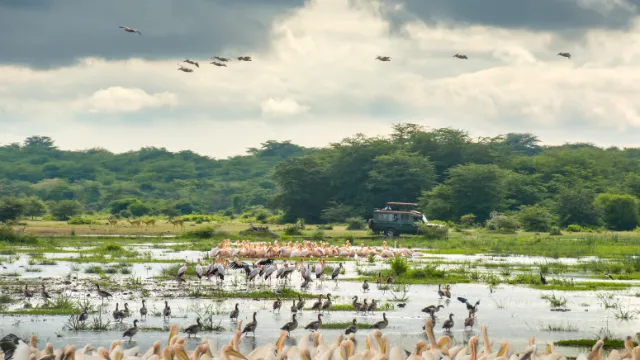 Lake Manyara