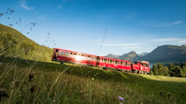 Schafbergbahn