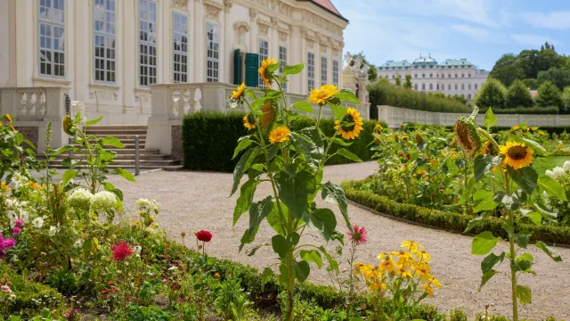 Unteres Belvedere