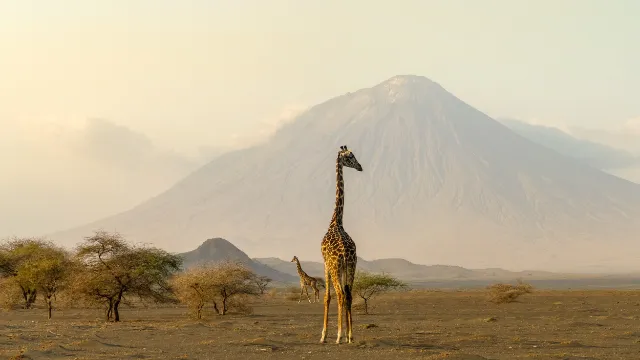 Ngorongoro-Krater