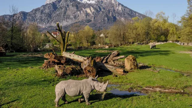 Zoo Salzburg Hellbrunn