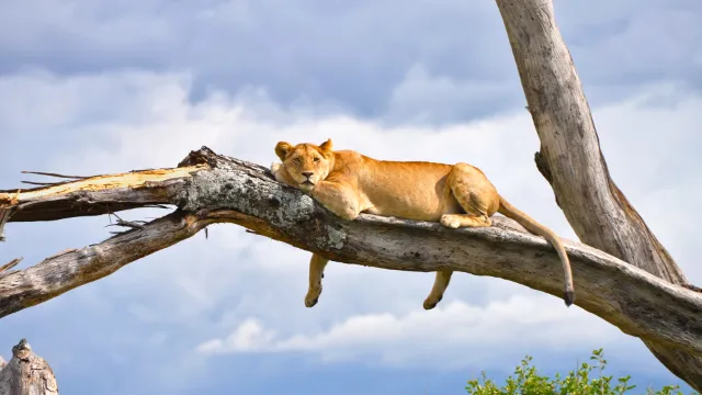 Lake Manyara-Nationalpark