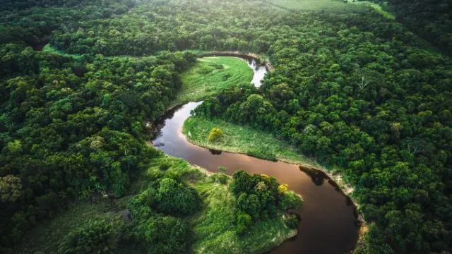 Amazonas, Brasilien