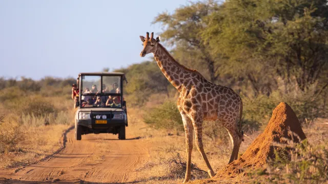 Serengeti-Nationalpark