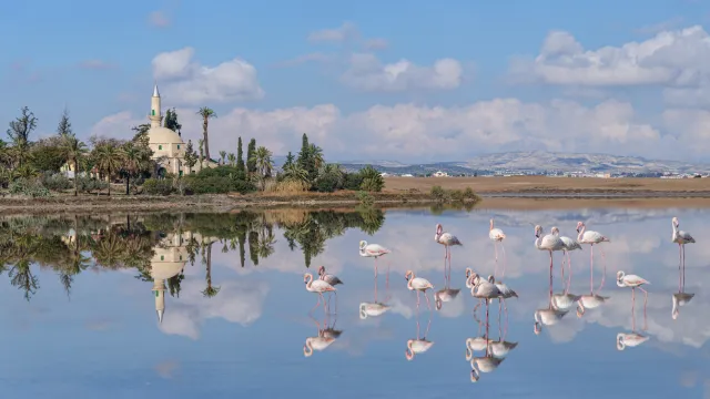 Zypern Hala Sultan Tekke am Salzsee